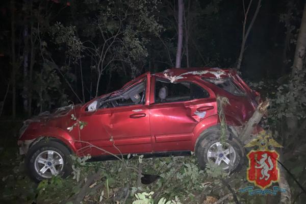 В Березовском в ДТП с лосем пострадали три человека  - Фото 1
