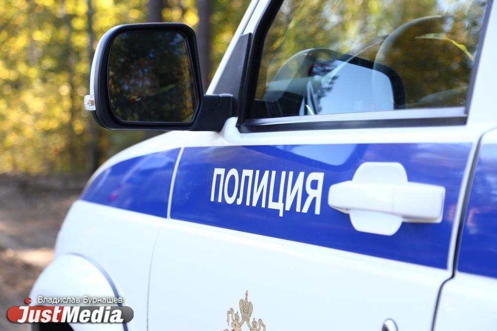 В Екатеринбурге банда подростков-мигрантов нападает на людей и пристает к женщинам - Фото 1