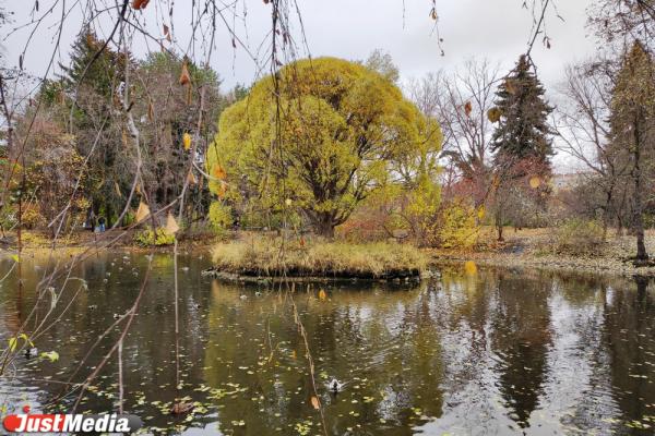  Теплая погода в Екатеринбурге может задержаться до конца месяца - Фото 1