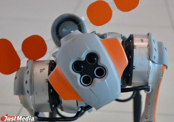 В США обещали раскрыть всю правду об инопланетянах - Фото 1