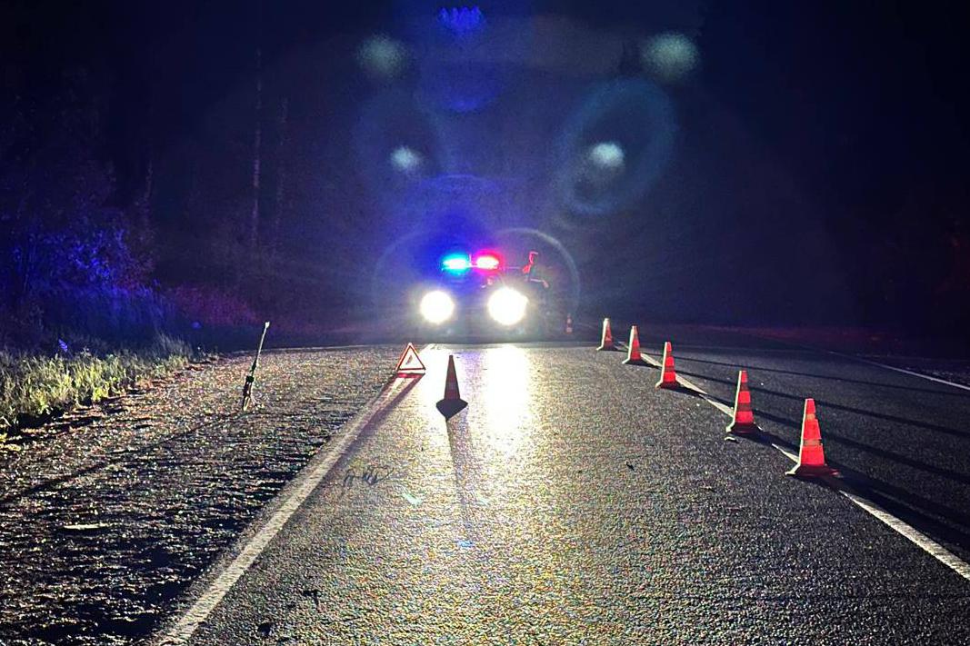 В Свердловской области в ДТП погибли два пешехода - Фото 1