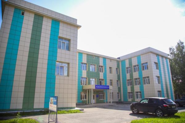 В роддоме Верхнепышнинской ЦРБ за год на свет появились около 1000 малышей  - Фото 1