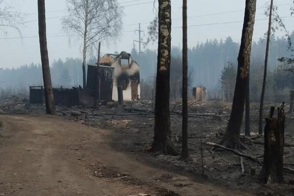 Евгений Куйвашев раскритиковал мэров за плохую подготовку к лесным пожарам - Фото 1