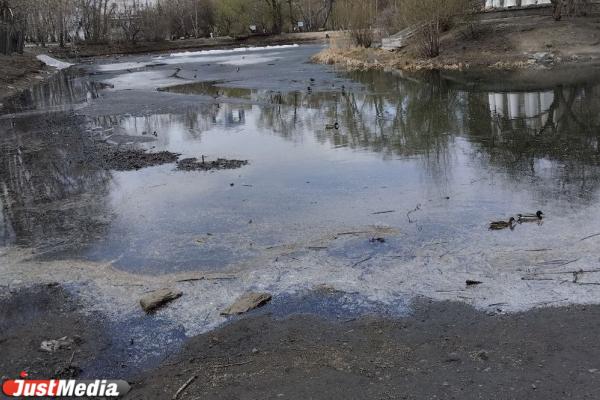 В Харитоновском парке сильно обмелел пруд - Фото 1