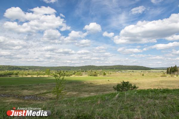 Nature Climate Change: Потепление приведет к вымиранию лягушек - Фото 1