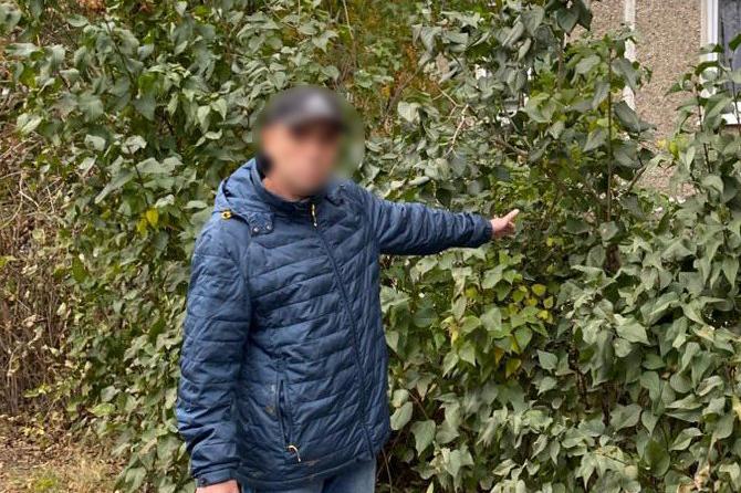 В Нижнем Тагиле местный житель освободился из колонии и тут же убил посетителя клуба - Фото 1