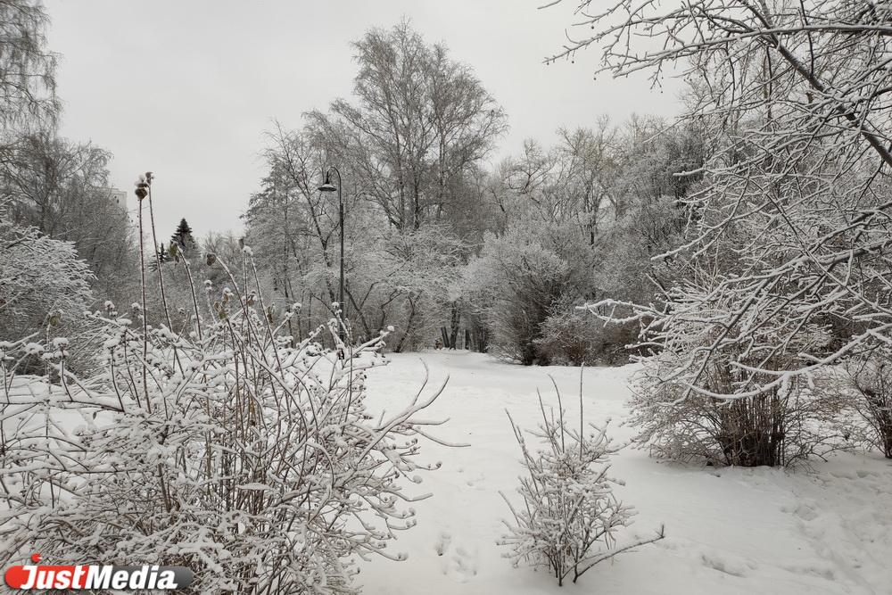 Зима в Екатеринбурге будет теплее, чем обычно - Фото 1
