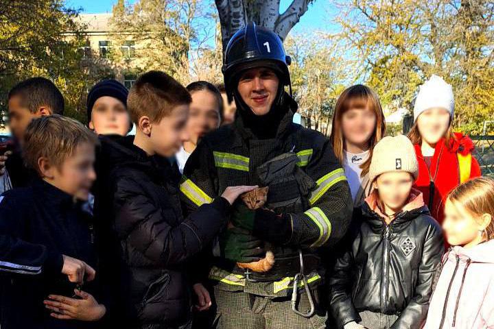 В Мелитополе бездомный рыжий котенок залез на дерево и чуть не замерз - Фото 1