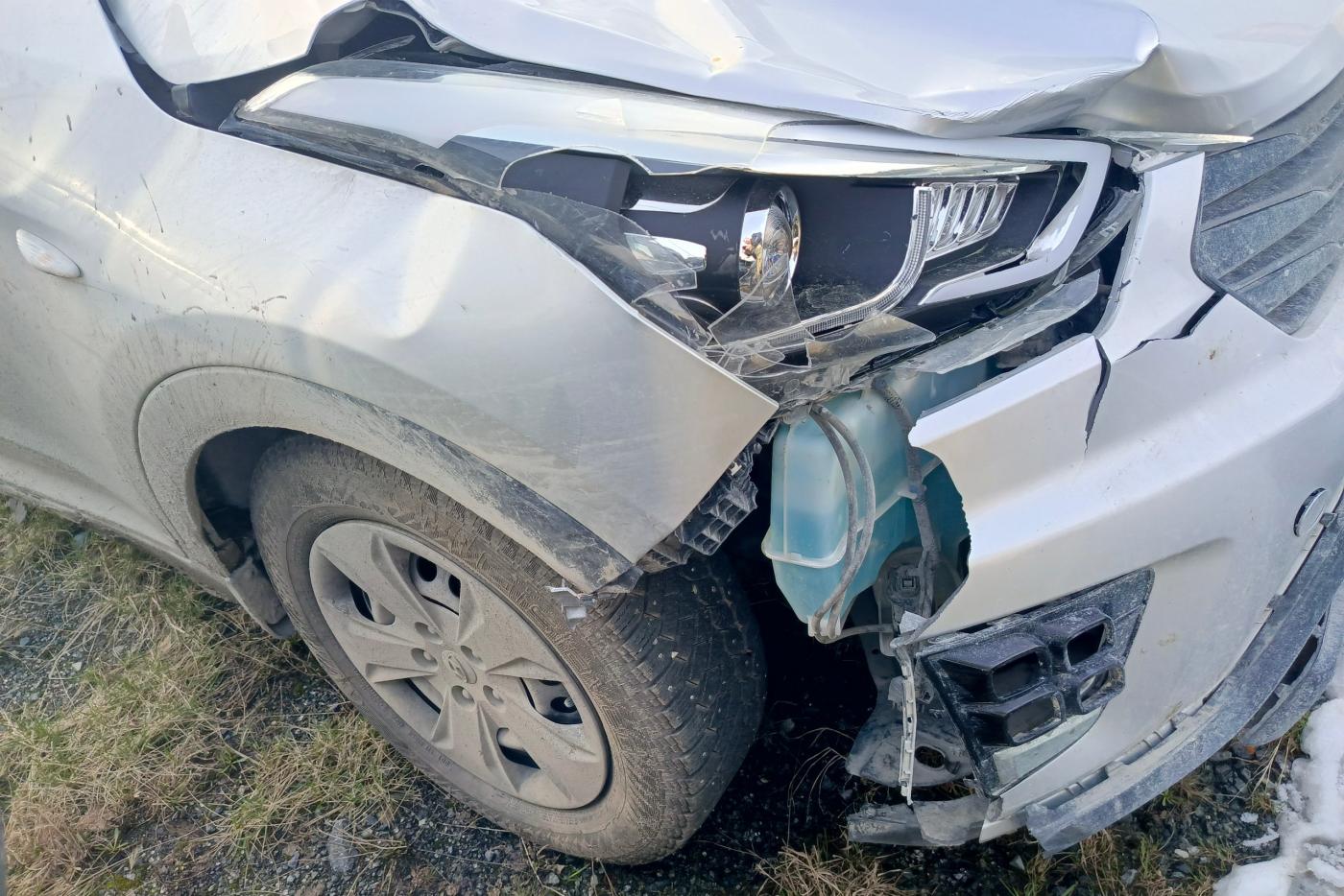 В Асбесте осудили водителя иномарки, который пьяным сбил насмерть девочку с собакой - Фото 1