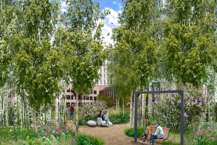 Березовую рощу в Краснолесье превратят в эко-парк, а краснокнижные растения передадут в УрО РАН - Фото 1