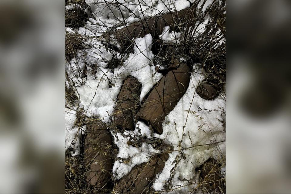 В Полевском рядом со зданием ГИБДД нашли около сотни артиллерийских снарядов - Фото 1