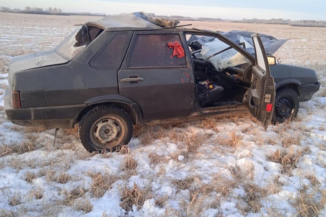 На трассе Екатеринбург – Шадринск – Курган подросток погиб, врезавшись в лошадь - Фото 1
