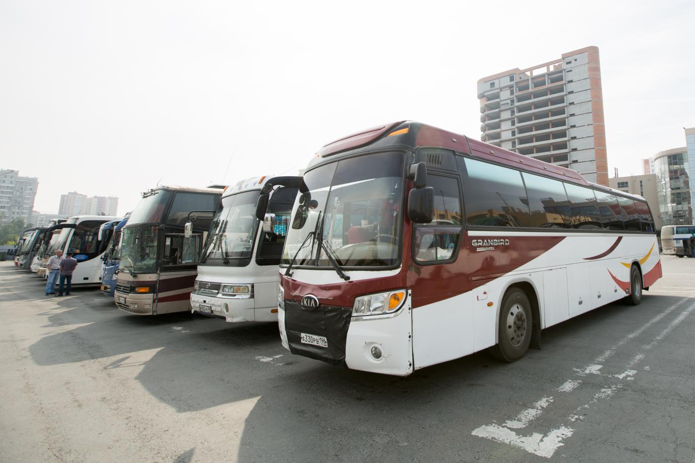 Свердловские межмуниципальные автобусы теперь можно отследить в мобильном приложении - Фото 1