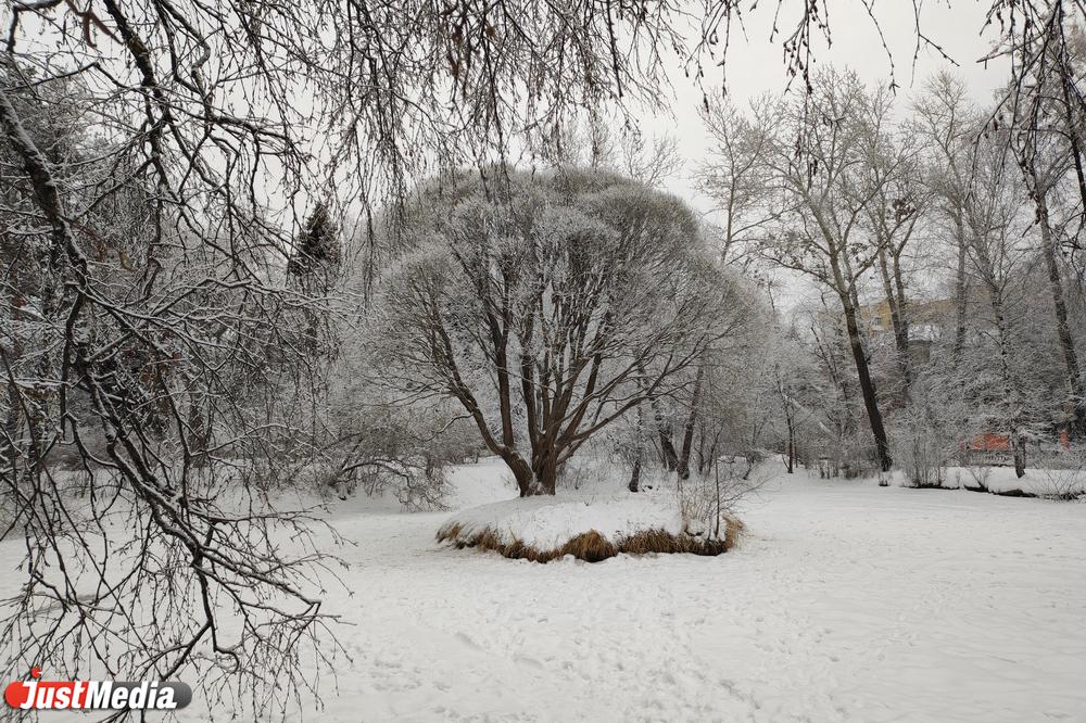 Новогодние каникулы в Свердловской области ожидаются теплыми  - Фото 1