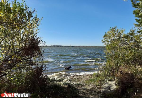 Алексей Орлов отказал федеральному девелоперу в застройке берега Шарташа - Фото 1
