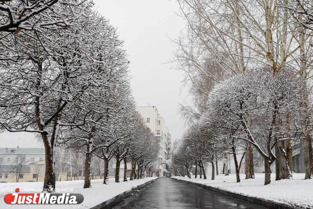 «Теплая» погода задержится в Екатеринбурге еще на несколько дней - Фото 1