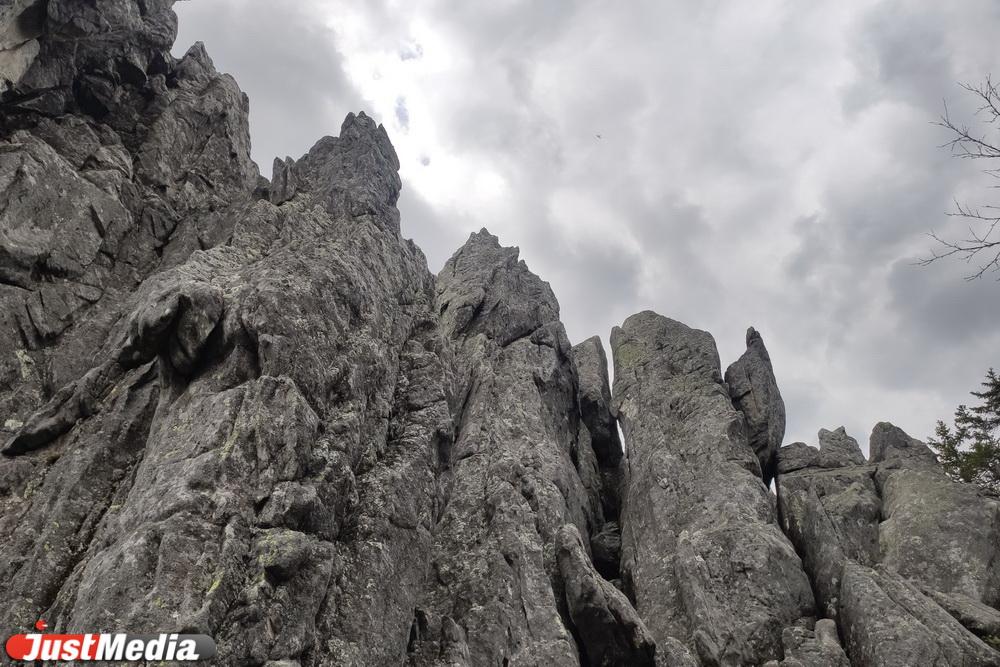 Популяризаторы внутреннего туризма «Большая уральская тропа» объявили фотоконкурс - Фото 1