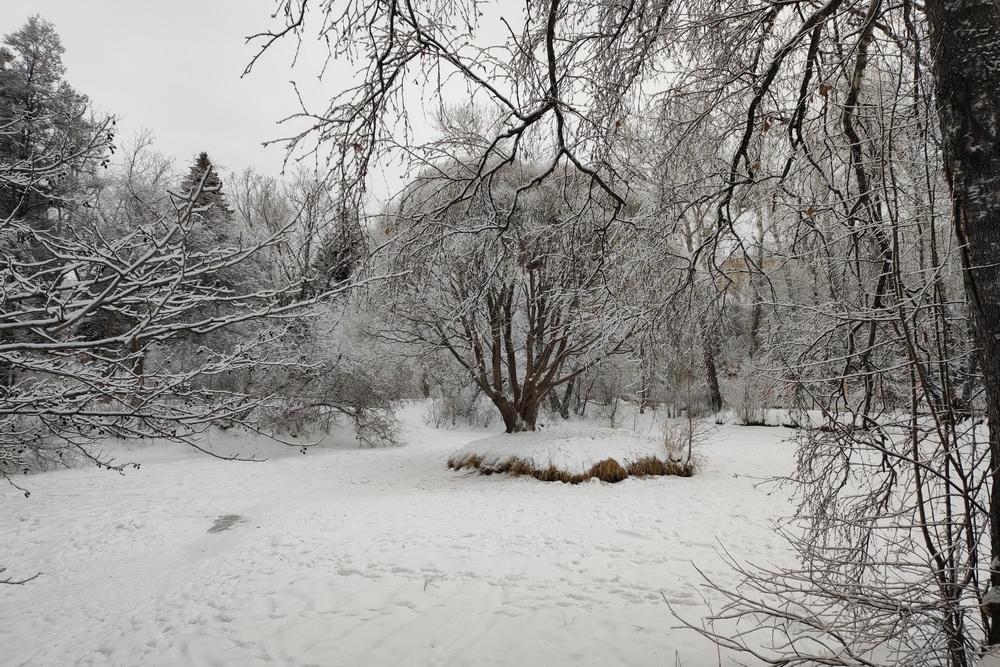 В Дендропарке на Мира снова пригрозили полностью закрыть территорию - Фото 1