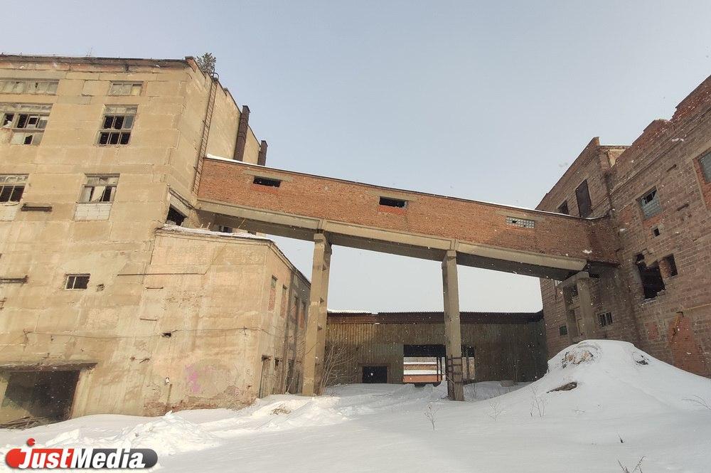 В США обрушилось огромное зернохранилище компании Andersons - Фото 1