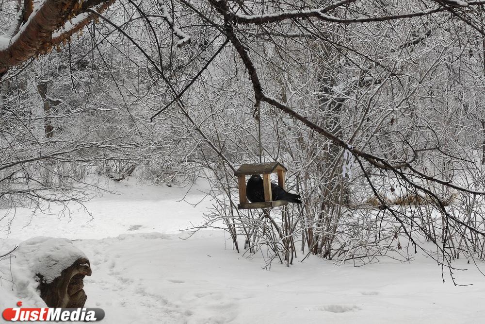В среду в Свердловской области ожидаются сильные снегопады - Фото 1