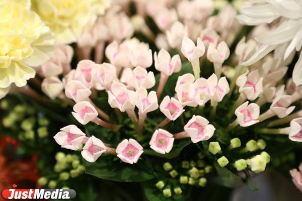 Что подарить маме на 8 Марта - Фото 1