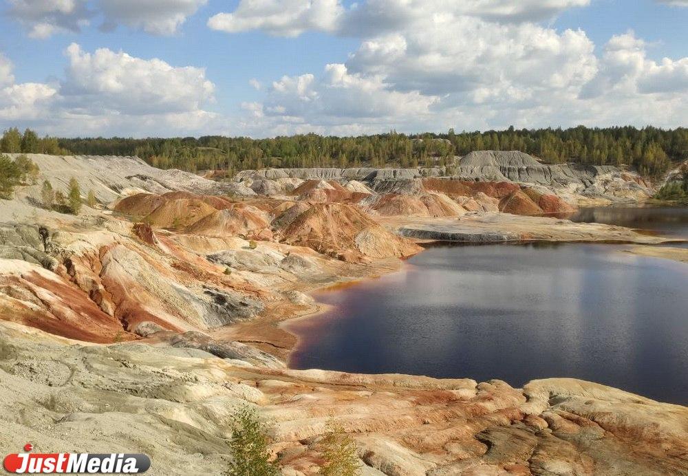 Ученые из РФ нашли в Евразии три неизвестных ранее вида растений - Фото 1