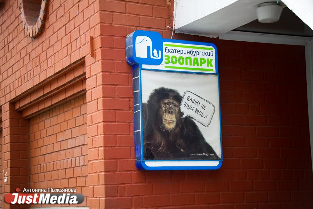 Екатеринбургский зоопарк представил новых жителей - Фото 1