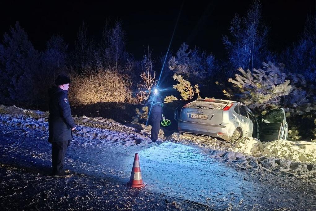 Автоледи погибла на нечищеной дороге под Туринском - Фото 1