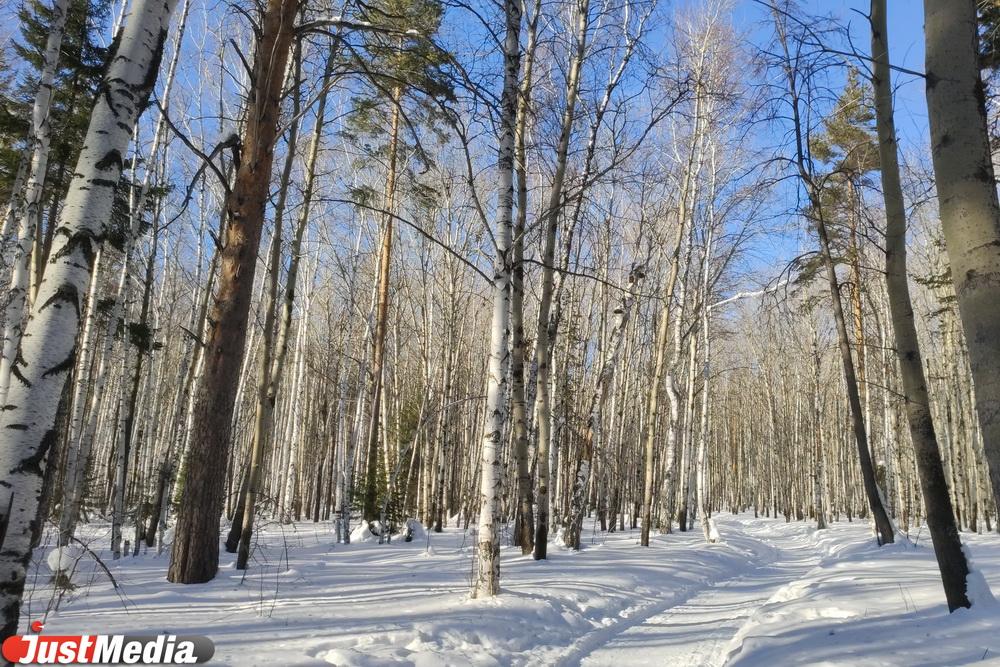 Лидера протестов в березовой роще Дениса Каракоза вызвали в ФСБ - Фото 1