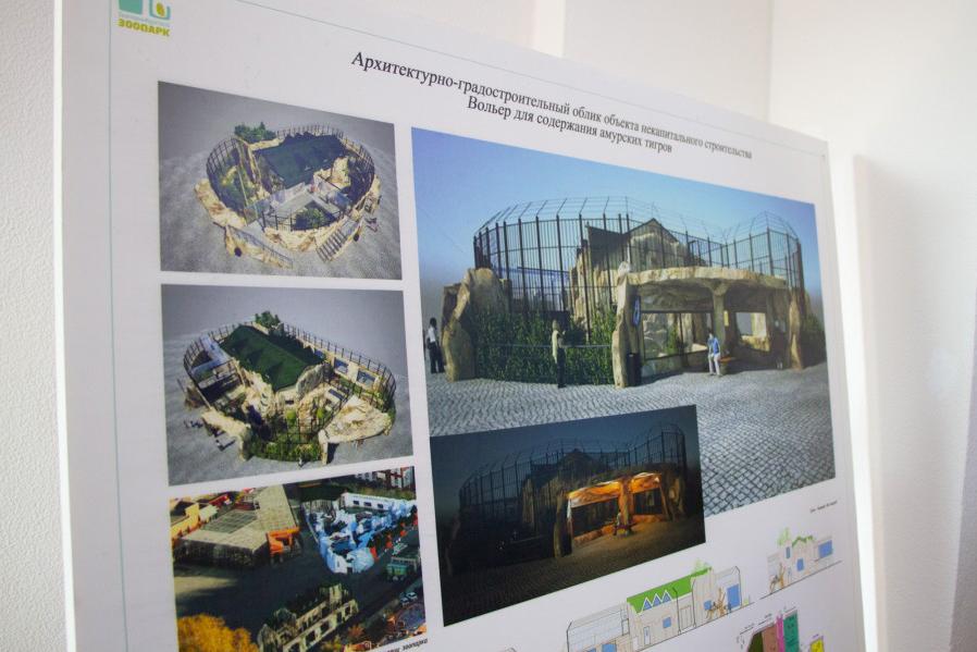 В зоопарке Екатеринбурга у бурых медведей появится новый вольер с бассейнами - Фото 1