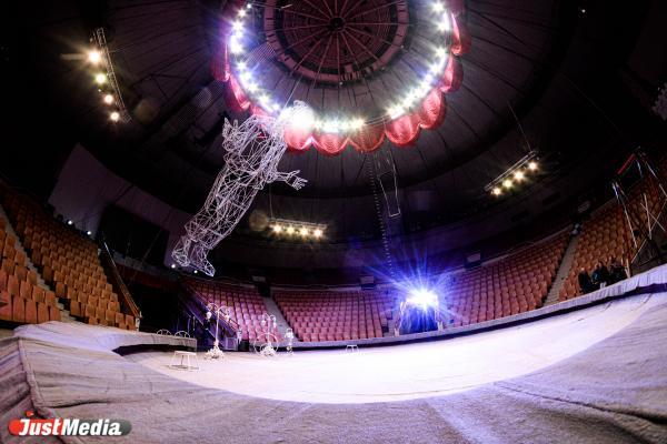 Артисты из Екатеринбурга завоевали главную награду международного фестиваля циркового искусства - Фото 1