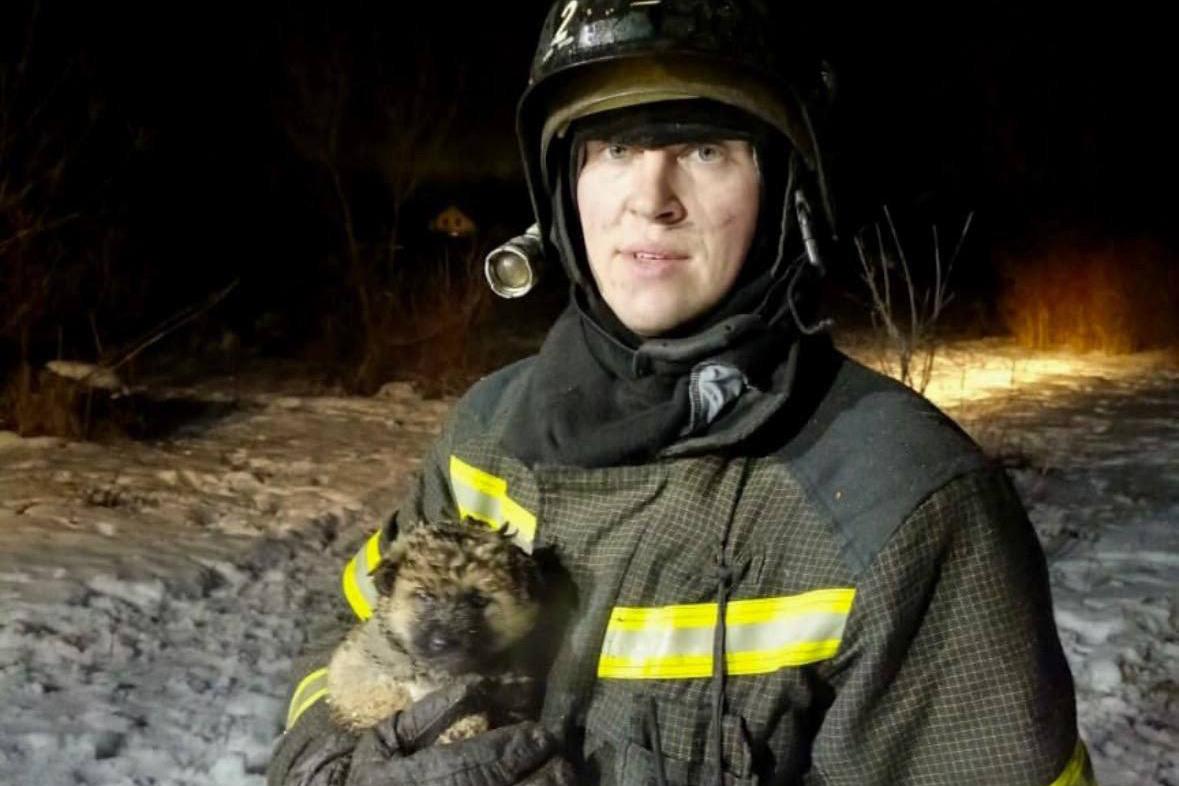 В тамбовском поселке спасатели вытащили щенка из горящего дома - Фото 1