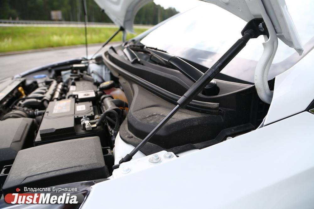 В Екатеринбурге выявили незаконный автосервис, где работали нелегальные мигранты - Фото 1