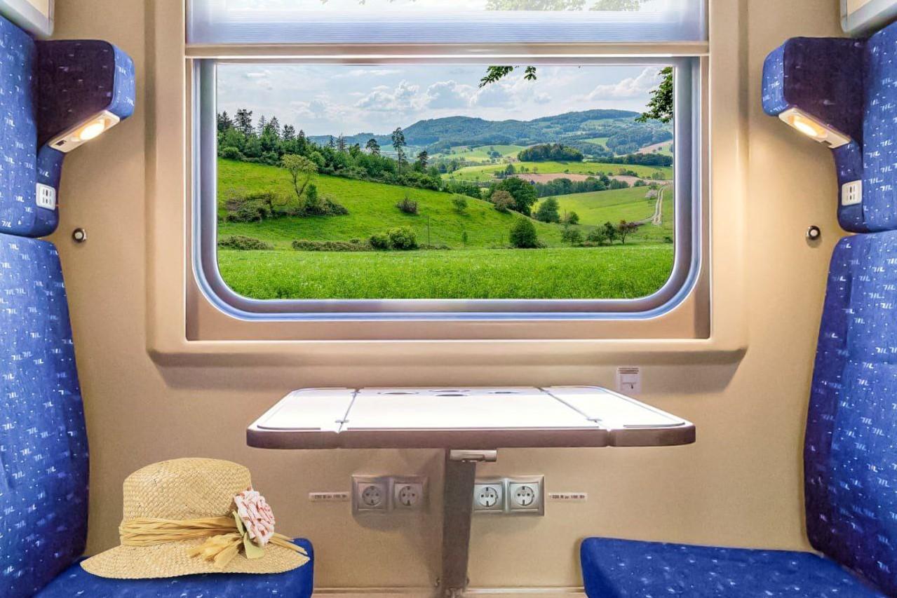 Через сервис поиска забытых вещей к пассажирам уральских поездов вернулось 750 предметов с начала года - Фото 1