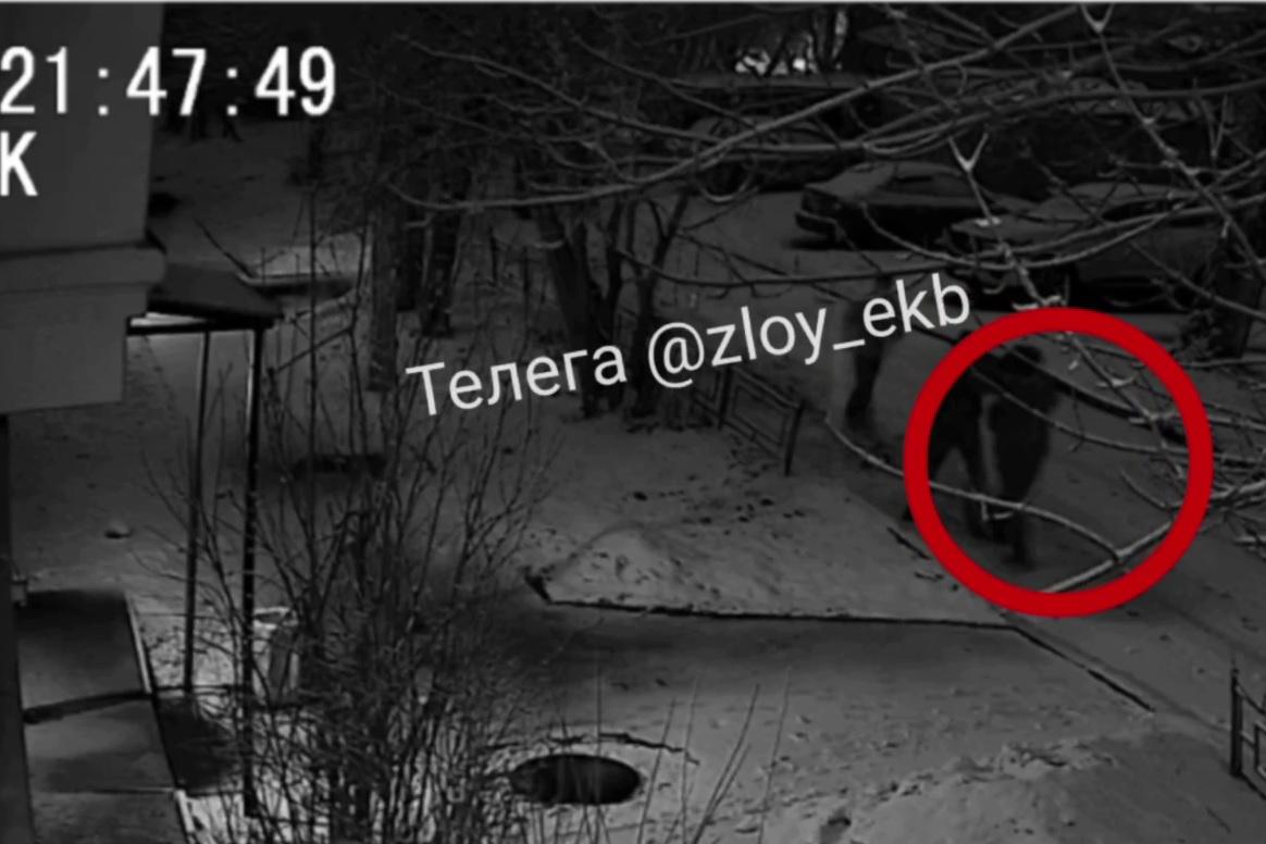 В Екатеринбурге толпа подростов избила парня за отказ играть в снежки - Фото 1