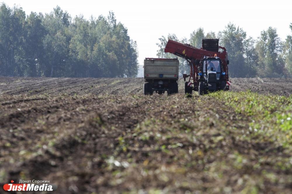 Евгений Куйвашев поручил засеять 760 тысяч га земель в Свердловской области - Фото 1