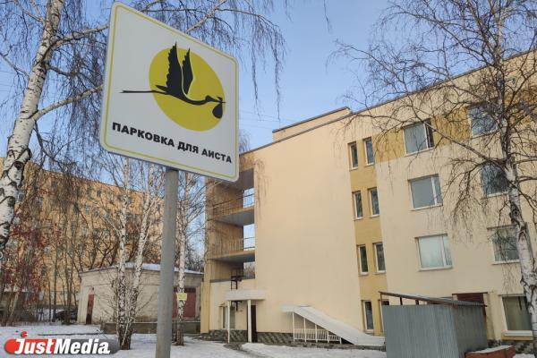 В Свердловской области за неделю родились десять пар близнецов - Фото 1