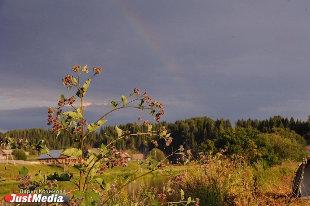 В США останки сына захлебнувшегося во время дайвинга волынщика нашли в домике на дереве - Фото 1