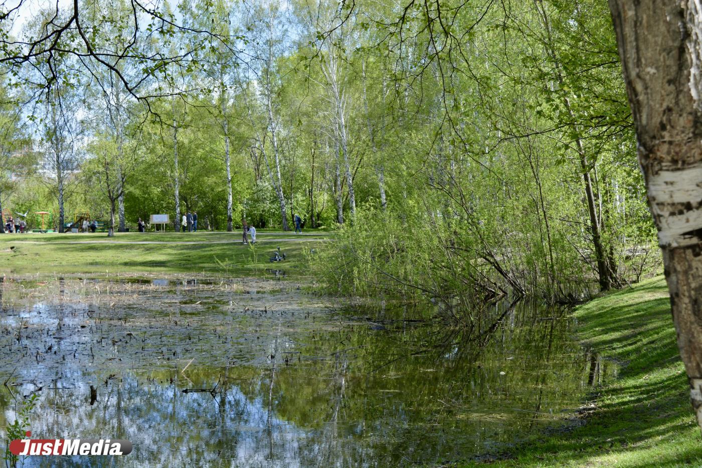 В мае в Екатеринбурге начнется благоустройство парка 50-летия ВЛКСМ - Фото 1