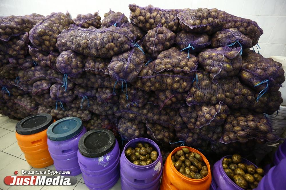 Сильнее всего в Свердловской области в марте подорожала свекла, картошка и лимоны - Фото 1