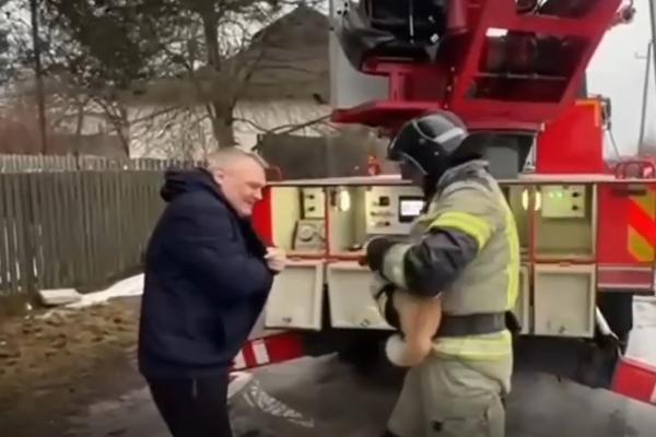 В Ярославской области сотрудники МЧС спасли кота Персика - Фото 1