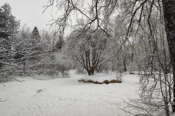 В Дендропарке на Мира очистили малый водоем и частично установили новое ограждение - Фото 1
