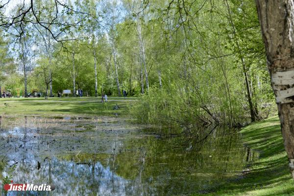 В мае в Екатеринбурге начнется благоустройство парка 50-летия ВЛКСМ - Фото 1