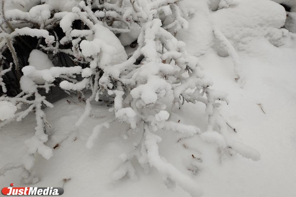 В Свердловской области местами снежный покров достиг 30 сантиметров - Фото 1