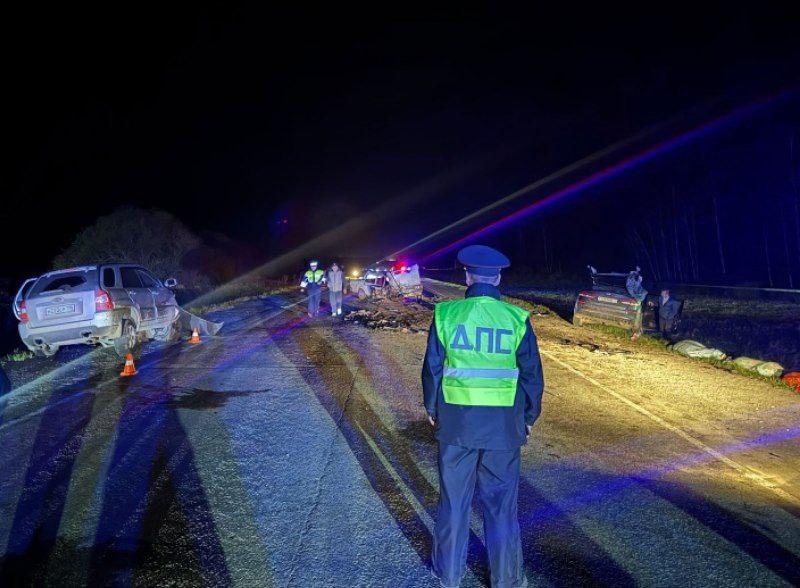 Три человека погибли в массовом ДТП под Каменск-Уральским - Фото 1