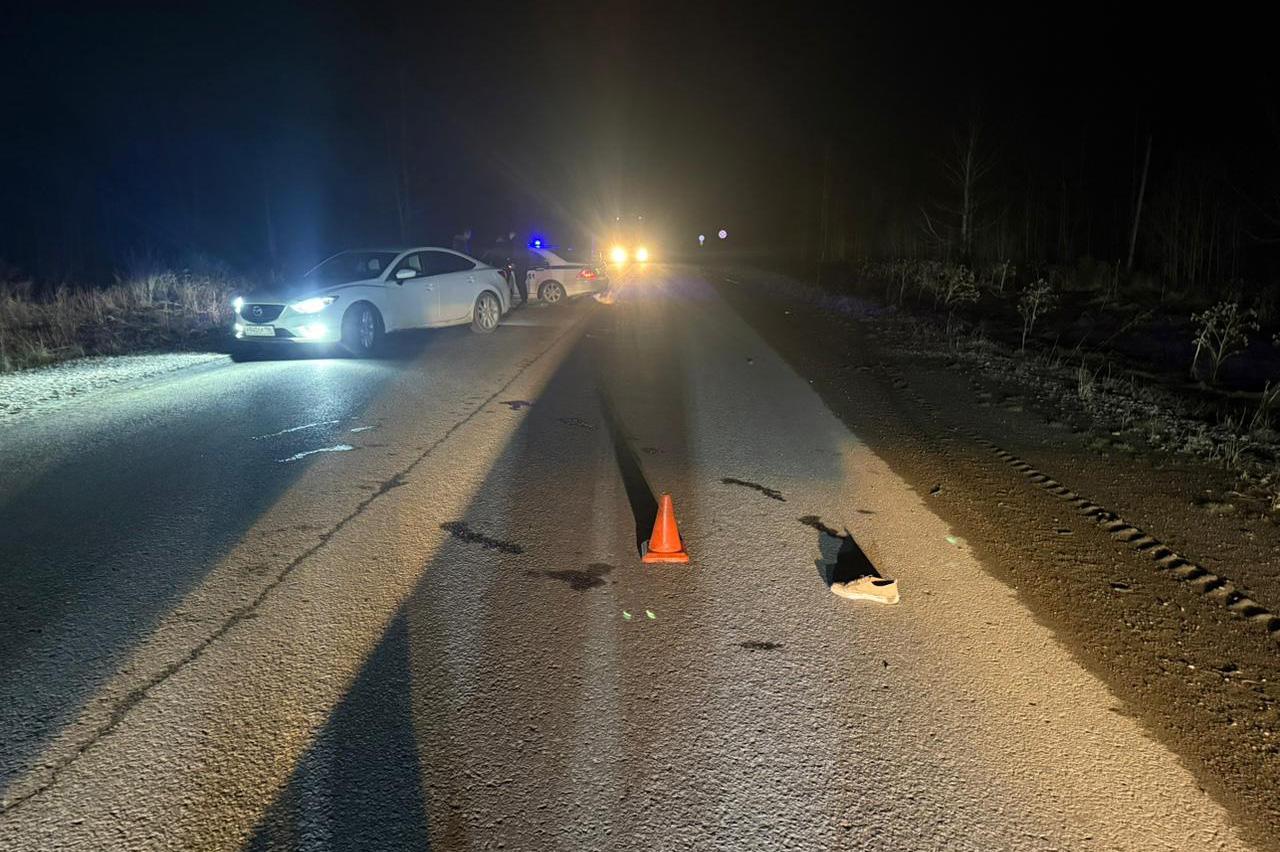 В Волчанске водитель «Шкоды» насмерть сбил пешехода и скрылся с места ДТП - Фото 1