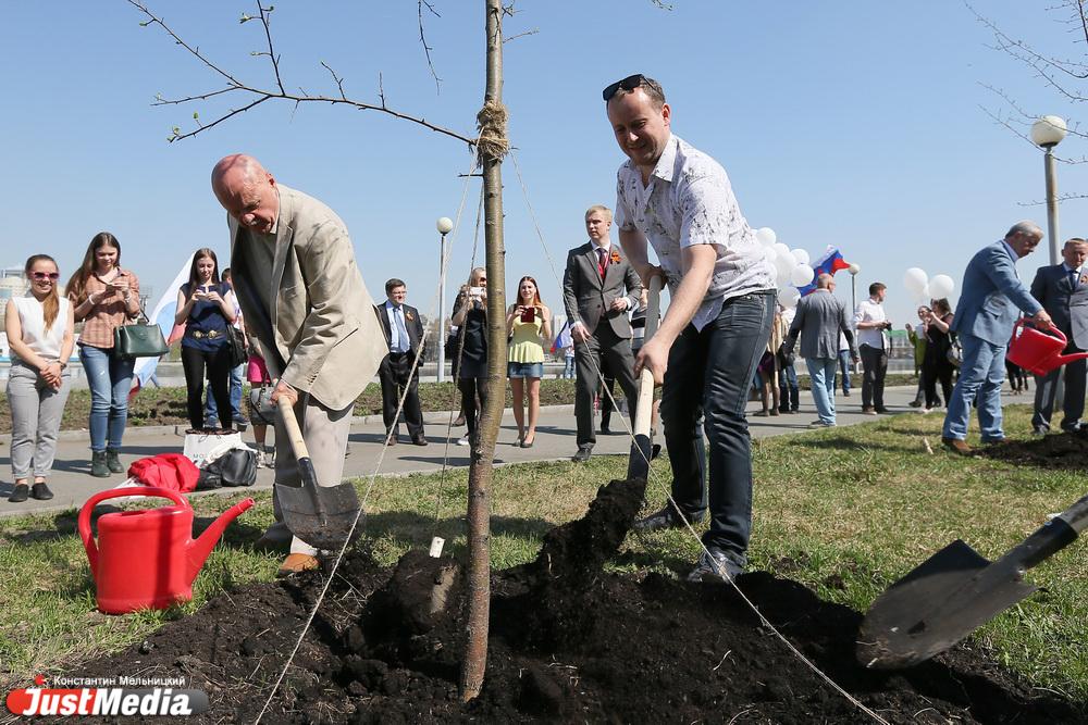 Жители Свердловской области высадят 27 млн деревьев в память о погибших в ВОВ - Фото 1