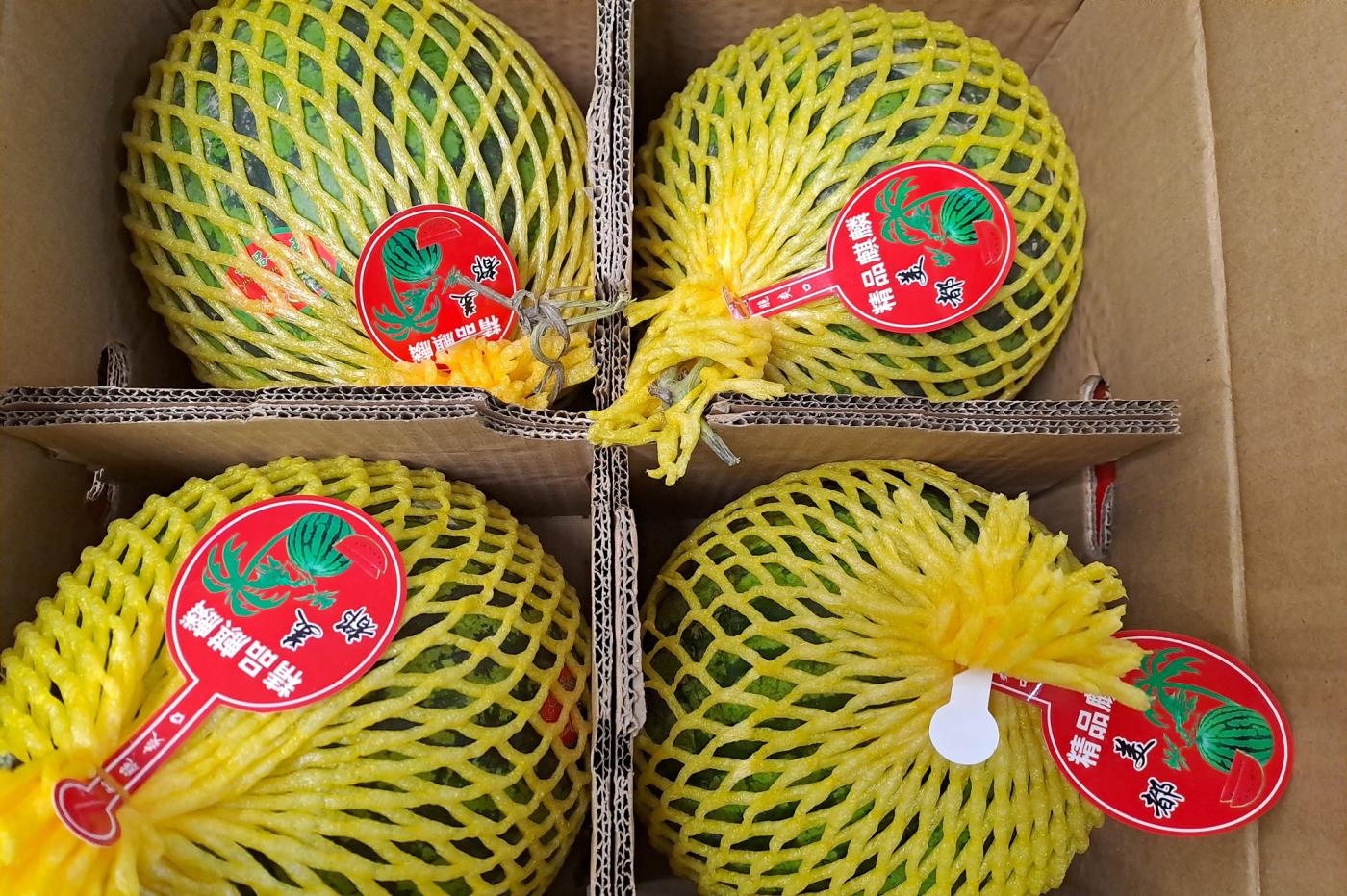 В апреле в Свердловскую область привезли 120 тонн арбузов - Фото 1