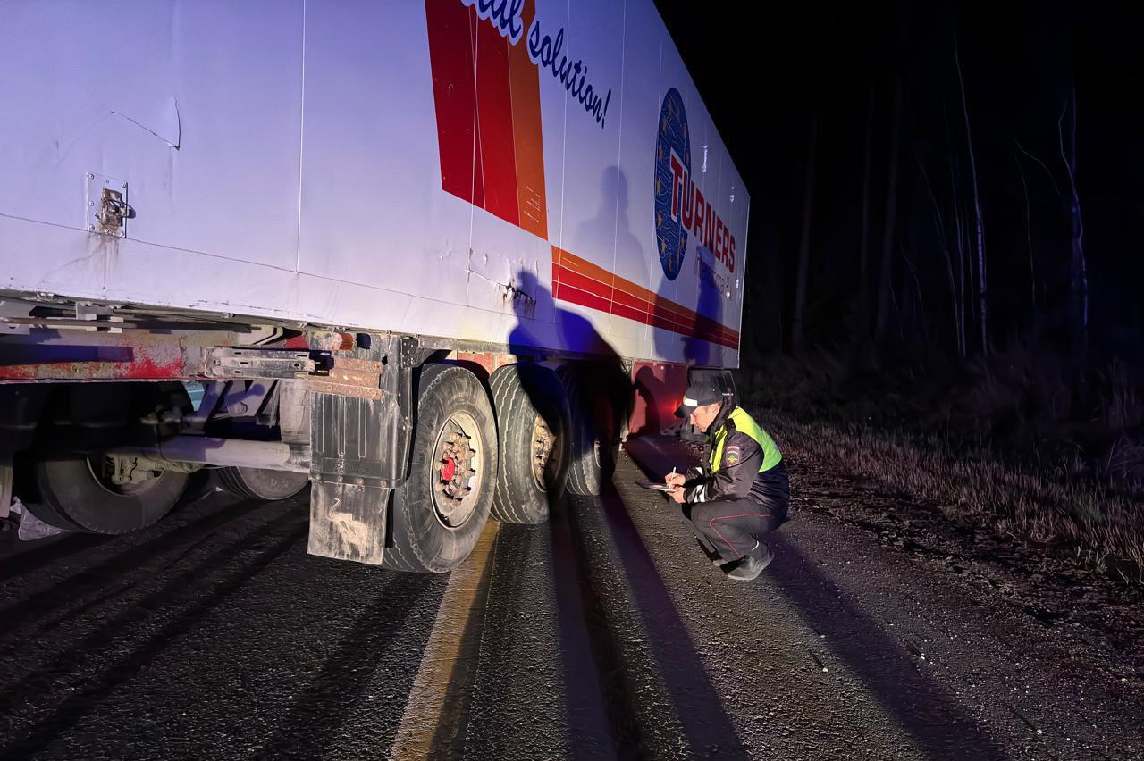 В Сысерти ночью водитель фуры насмерть сбил пешехода - Фото 1
