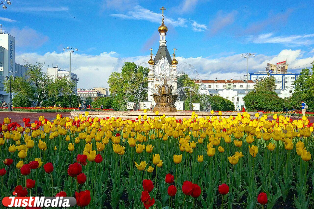 К лету Екатеринбурге высадят более пяти гектаров цветников - Фото 1